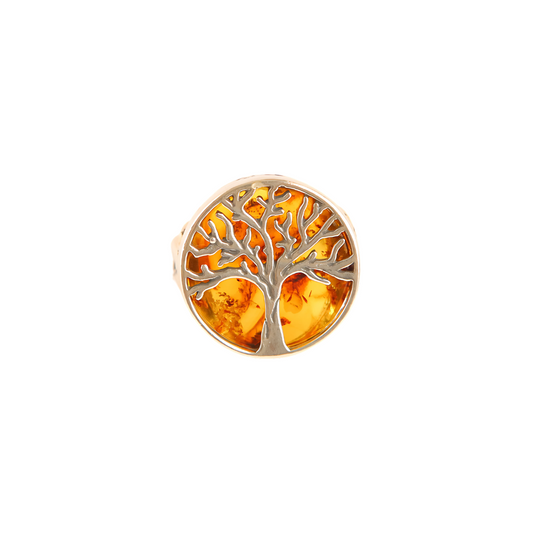 Amber Tree