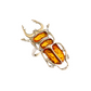 Baltic Amber Scarab Ring in 925 Sterling Silver.