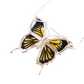 Baltic amber butterfly necklace in 925 sterling silver with lemon and black pattern.