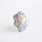 Decorative shell flower ring on a white background