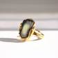 A gold amber ring featuring a large, irregular-shaped black stone with a pale cream center, photographed on a clean white surface with a soft shadow.