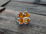 Natural Baltic Cognac Amber Four Leaf Clover Ring in 925 Sterling Silver