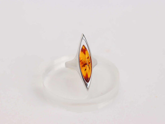 lithuanian baltic amber