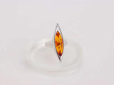 lithuanian baltic amber