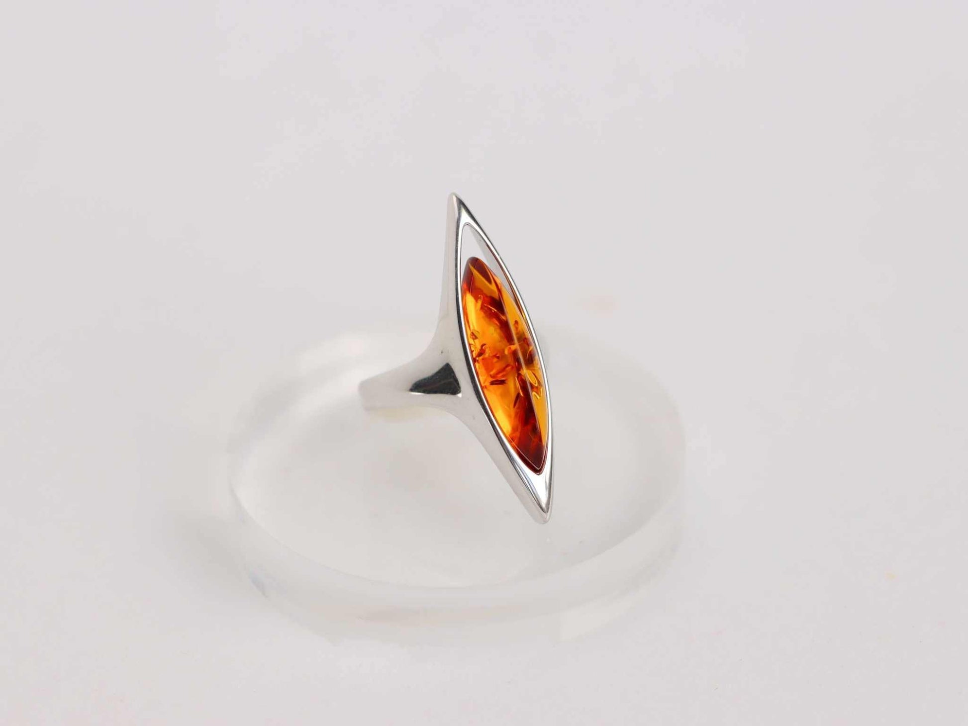 lithuanian baltic amber