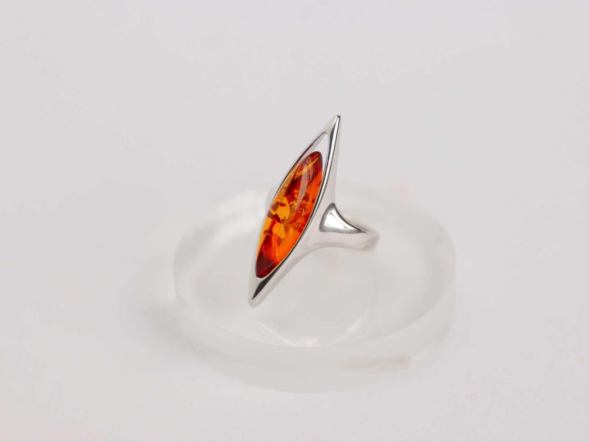 lithuanian baltic amber