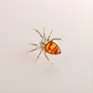 Silver spider-shaped statement ring with a red-orange gemstone on a light gray background