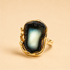 Gold amber ring with a black, textured stone on a beige background